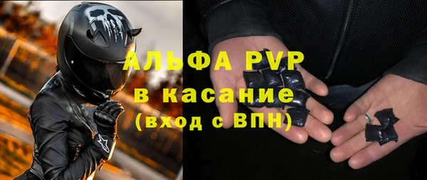индика Киреевск