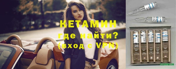 индика Киреевск