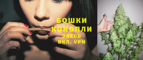 дживик Кинешма