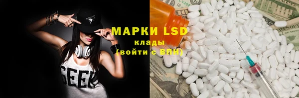 индика Киреевск