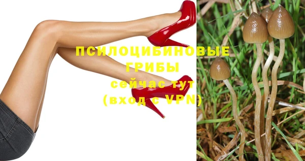 индика Киреевск