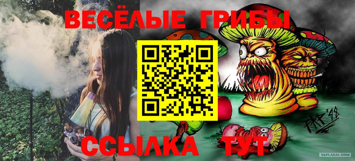 Галлюциногенные грибы прущие грибы Куйбышев