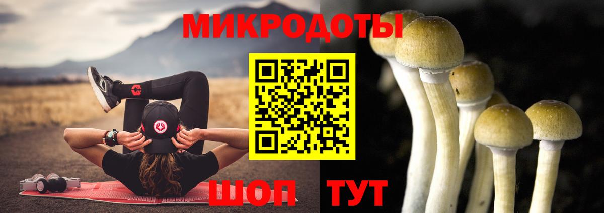 Куйбышев  Псилоцибиновые грибы ЛСД  Вход с VPN 